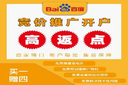 百度竞价广告的投放成本与ROI分析案例